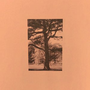 啊～哈 ～自己动
